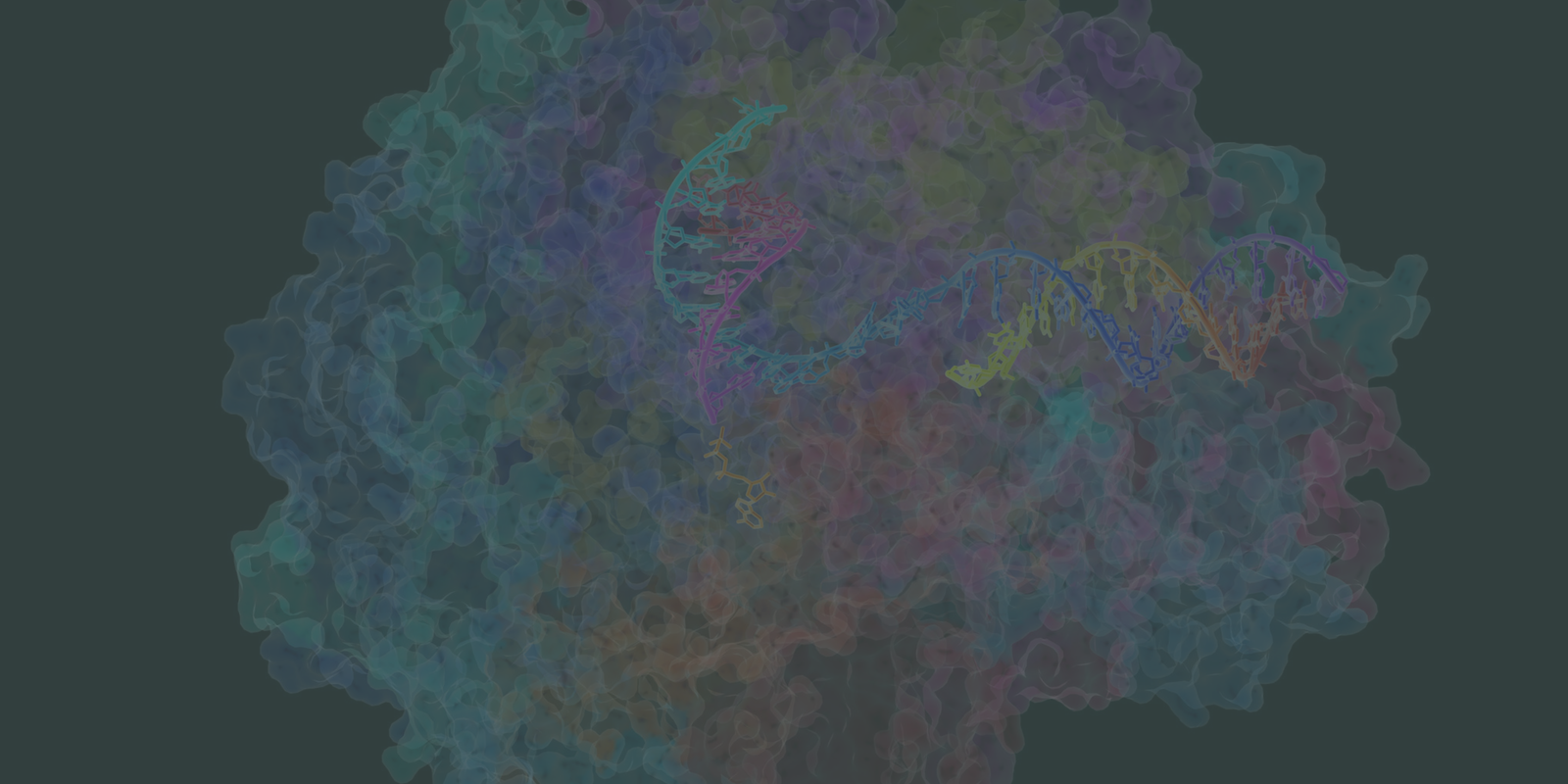 MASTER CLASS SERIES 2024: Metabolic Health and Nutritional Building Blocks [Proteins]